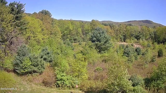 76 Corashire Rd, New Marlborough, MA 01230 - view of mountain backdrop featuring a heavily wooded area