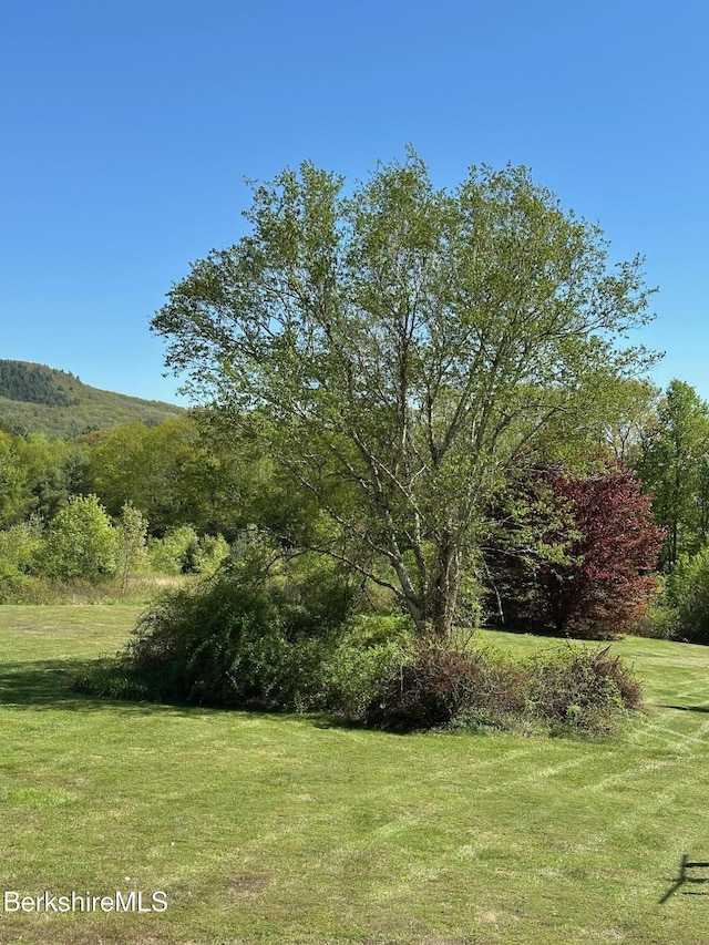 76 Corashire Rd, New Marlborough, MA 01230 - view of grassy yard