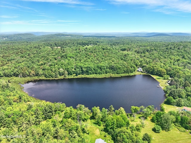 0 W St, Sandisfield, MA 01255