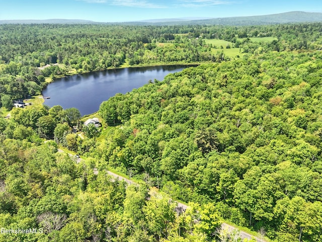 0 W St, Sandisfield, MA 01255