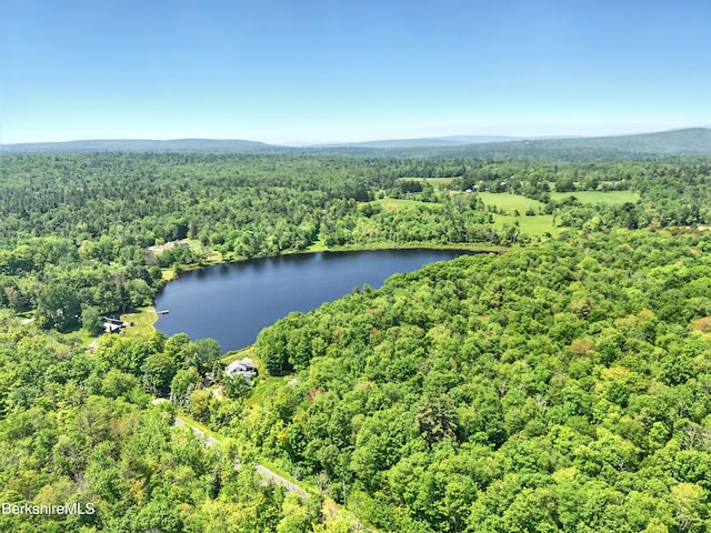 0 W St, Sandisfield, MA 01255