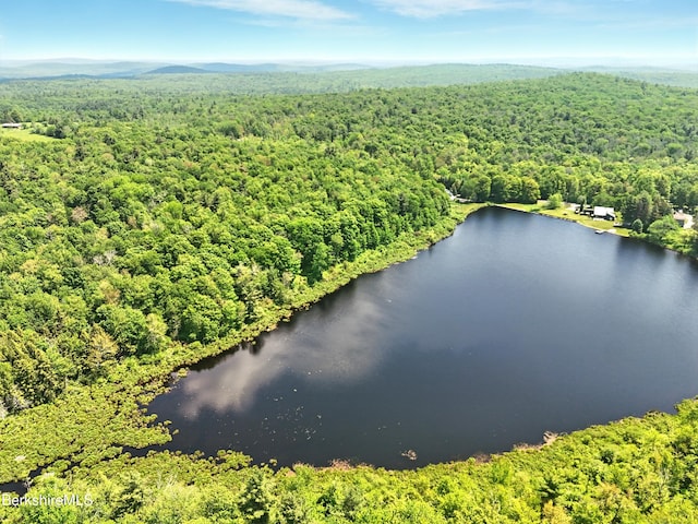 0 W St, Sandisfield, MA 01255