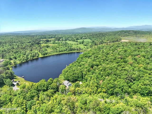 0 W St, Sandisfield, MA 01255