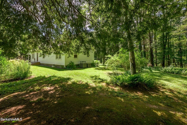 18 Creamery Rd, Egremont, MA 01258 - view of grassy yard