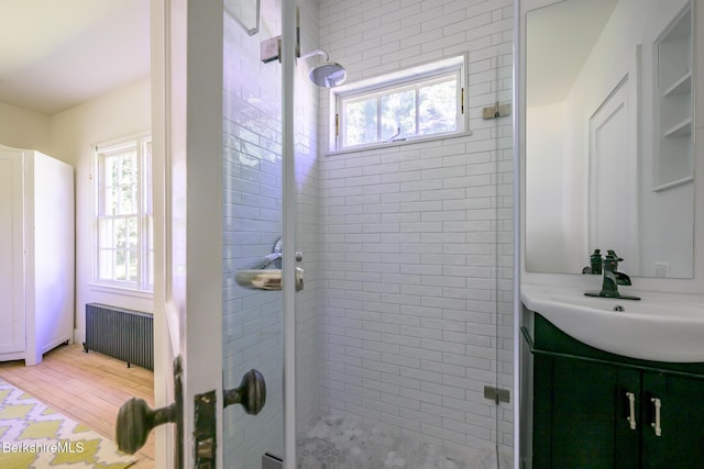 18 Creamery Rd, Egremont, MA 01258 - full bath featuring radiator, a shower stall, vanity, and plenty of natural light