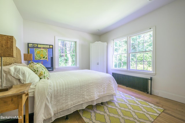 18 Creamery Rd, Egremont, MA 01258 - bedroom with radiator heating unit, multiple windows, and wood-type flooring