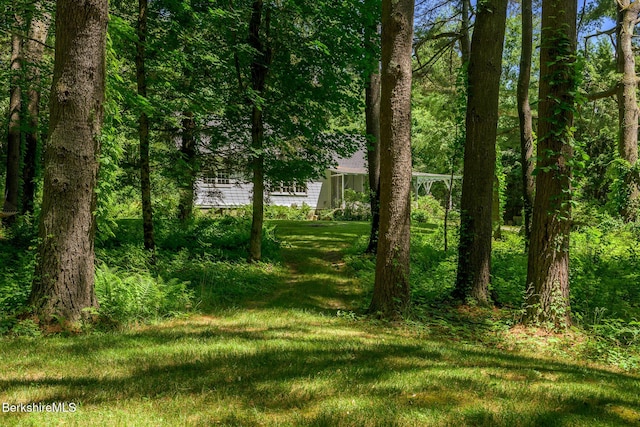 18 Creamery Rd, Egremont, MA 01258 - view of green lawn