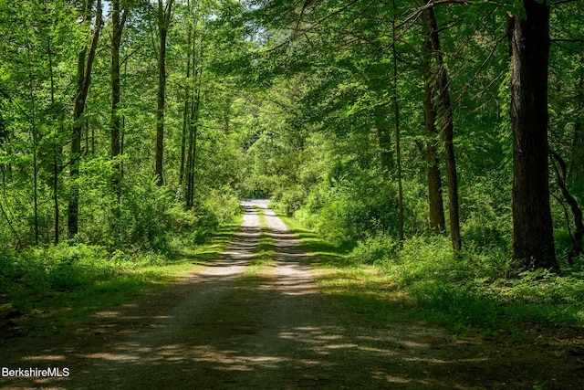 18 Creamery Rd, Egremont, MA 01258 - view of road with a view of trees