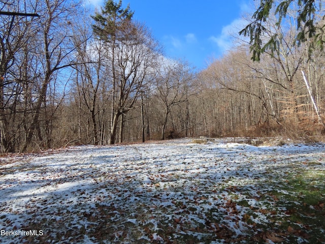 59 Wheeler Ave, Clarksburg MA, 01247 land for sale