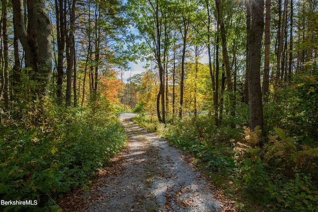 139 Tyringham Rd, Monterey, MA 01245 - photo 12