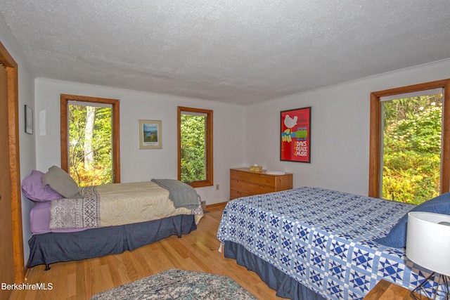 139 Tyringham Rd, Monterey, MA 01245 - photo 22