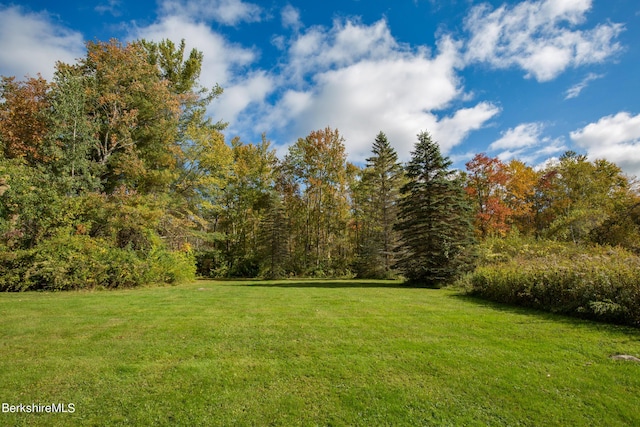 139 Tyringham Rd, Monterey, MA 01245 - photo 63