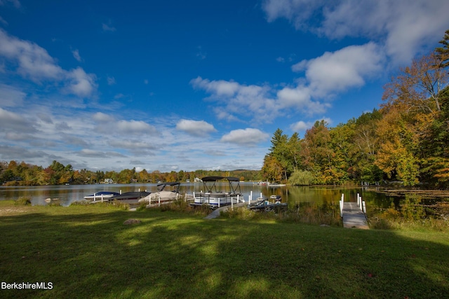 139 Tyringham Rd, Monterey, MA 01245 - photo 59