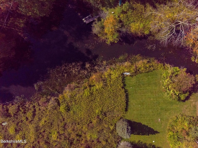 139 Tyringham Rd, Monterey, MA 01245 - photo 67