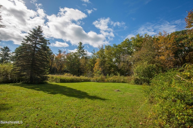 139 Tyringham Rd, Monterey, MA 01245 - photo 65