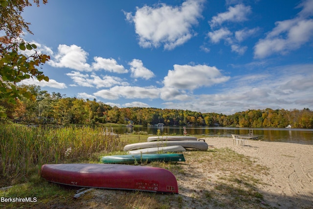 139 Tyringham Rd, Monterey, MA 01245 - photo 54