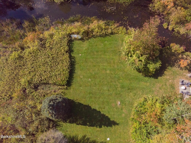139 Tyringham Rd, Monterey, MA 01245 - photo 66