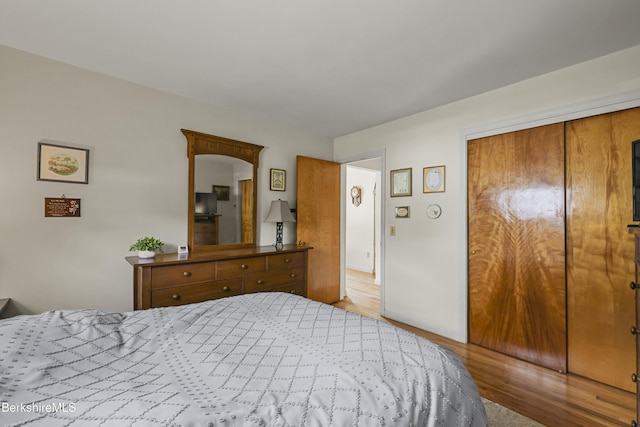 17 Jeffrey Dr, Pittsfield, MA 01201 - bedroom featuring wood finished floors and a closet