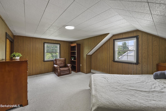 17 Jeffrey Dr, Pittsfield, MA 01201 - bedroom with baseboard heating, carpet flooring, wood walls, and vaulted ceiling