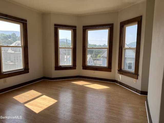 51 Bracewell Ave, North Adams, MA 01247 - photo 8