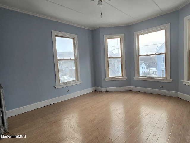 51 Bracewell Ave, North Adams, MA 01247 - photo 18