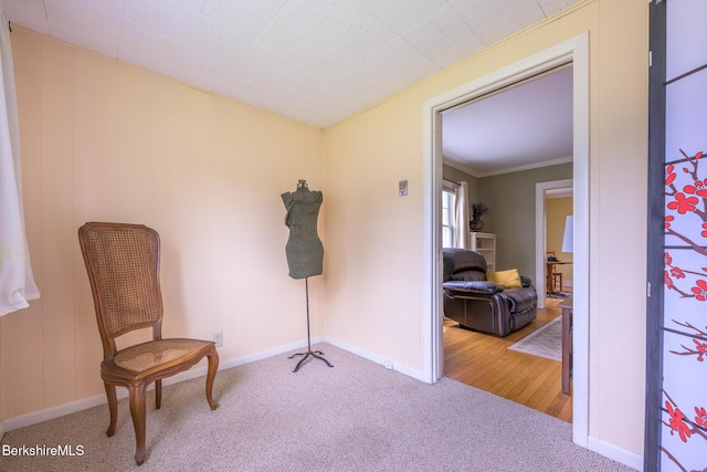 16 Revere Pkwy, Pittsfield, MA 01201 - sitting room featuring carpet flooring and baseboards