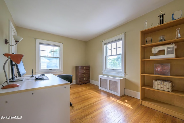 16 Revere Pkwy, Pittsfield, MA 01201 - office space featuring light wood-type flooring, radiator heating unit, and plenty of natural light