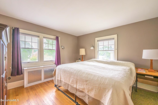 16 Revere Pkwy, Pittsfield, MA 01201 - bedroom featuring radiator, multiple windows, and light wood-style flooring