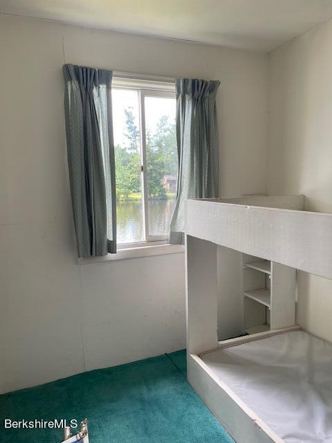 unfurnished bedroom with multiple windows and carpet
