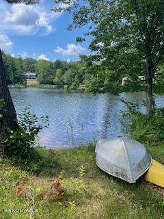 property view of water featuring a wooded view