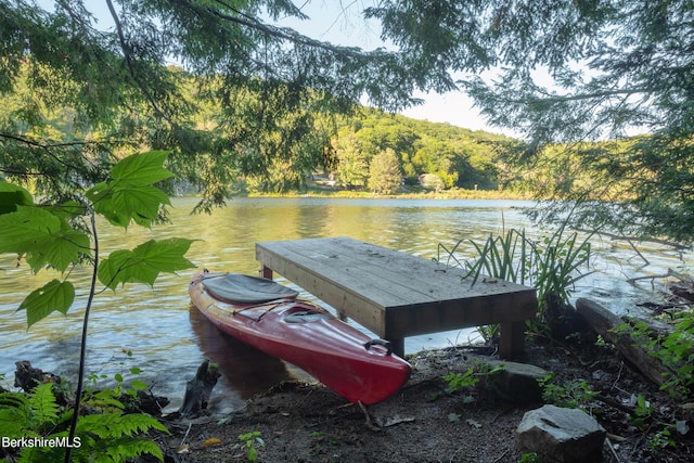 view of dock with a water view