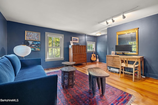 living room with wood-type flooring and rail lighting