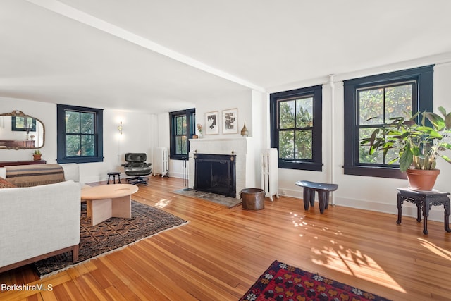 living room with a brick fireplace, hardwood / wood-style flooring, and radiator heating unit