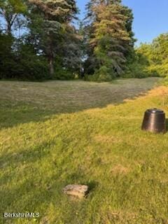 9 Anthony St, Adams, MA 01220 - view of grassy yard