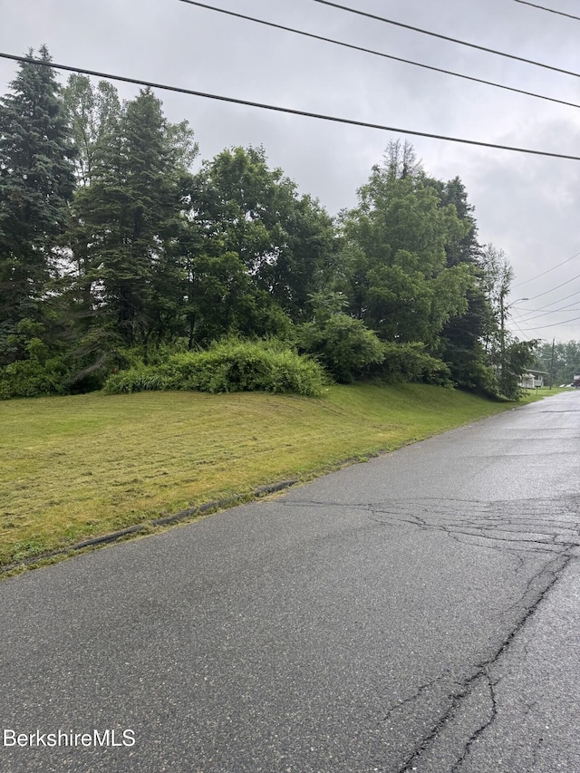 9 Anthony St, Adams, MA 01220 - view of asphalt road