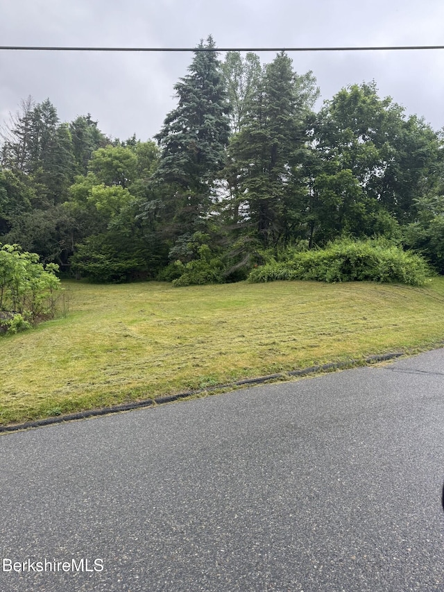 9 Anthony St, Adams, MA 01220 - view of asphalt road