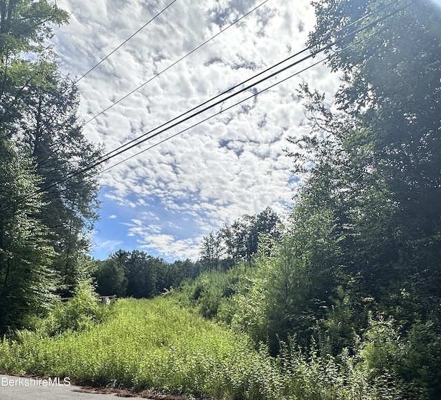 1282 Burt Hill Rd, Tolland, MA 01034 - photo 1