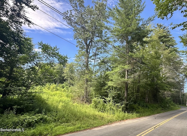 1282 Burt Hill Rd, Tolland, MA 01034 - photo 3