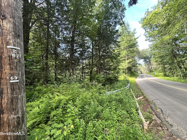 1282 Burt Hill Rd, Tolland, MA 01034 - photo 4