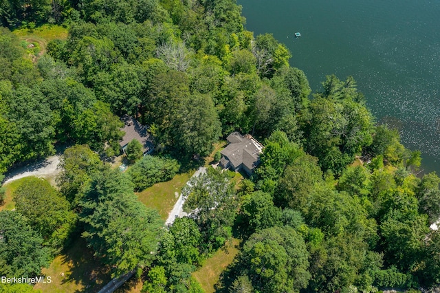 147 Hupi Rd, Monterey, MA 01245 - photo 54