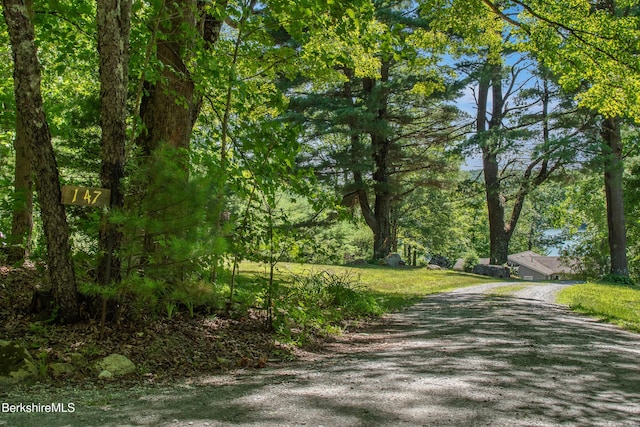 147 Hupi Rd, Monterey, MA 01245 - photo 50
