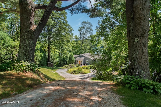 147 Hupi Rd, Monterey, MA 01245 - photo 51