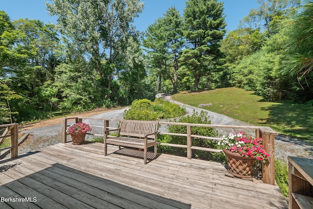 147 Hupi Rd, Monterey, MA 01245 - photo 15