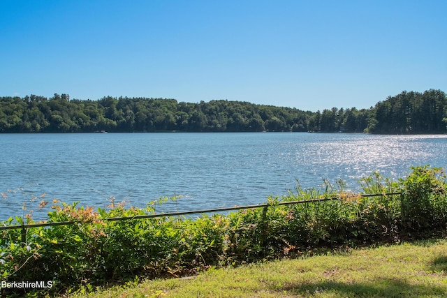 147 Hupi Rd, Monterey, MA 01245 - photo 4