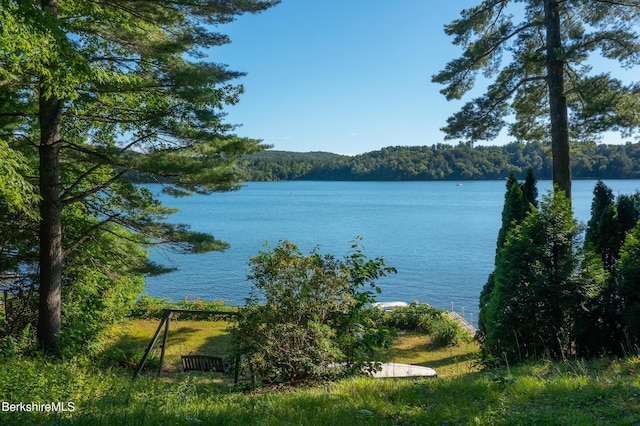 147 Hupi Rd, Monterey, MA 01245 - photo 49