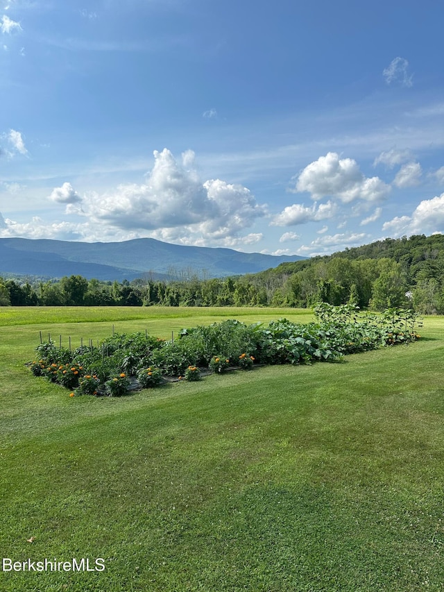 20 Pleasant View Dr, Cheshire, MA 01225 - photo 5
