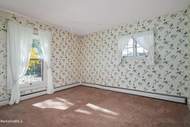 41 Bulkley St, Williamstown, MA 01267 - photo 40