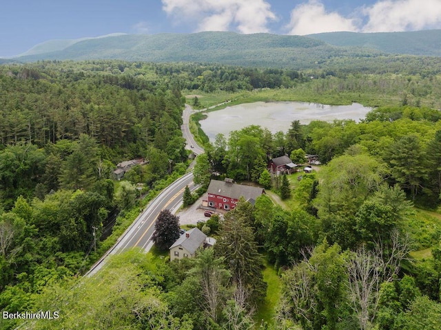 70 Main St, Egremont, MA 01258 - bird's eye view of a forest and a water and mountain view