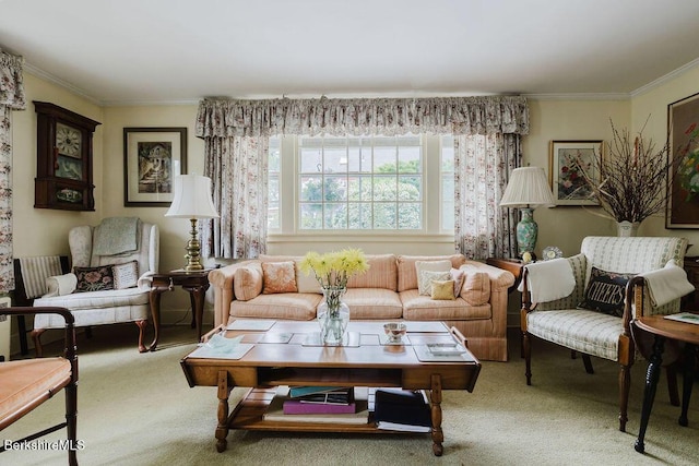 70 Main St, Egremont, MA 01258 - living area with carpet flooring and crown molding