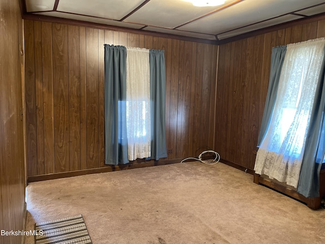 unfurnished room featuring wooden walls and carpet